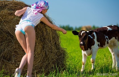 Девушка в трусивах и теленок на поляне
